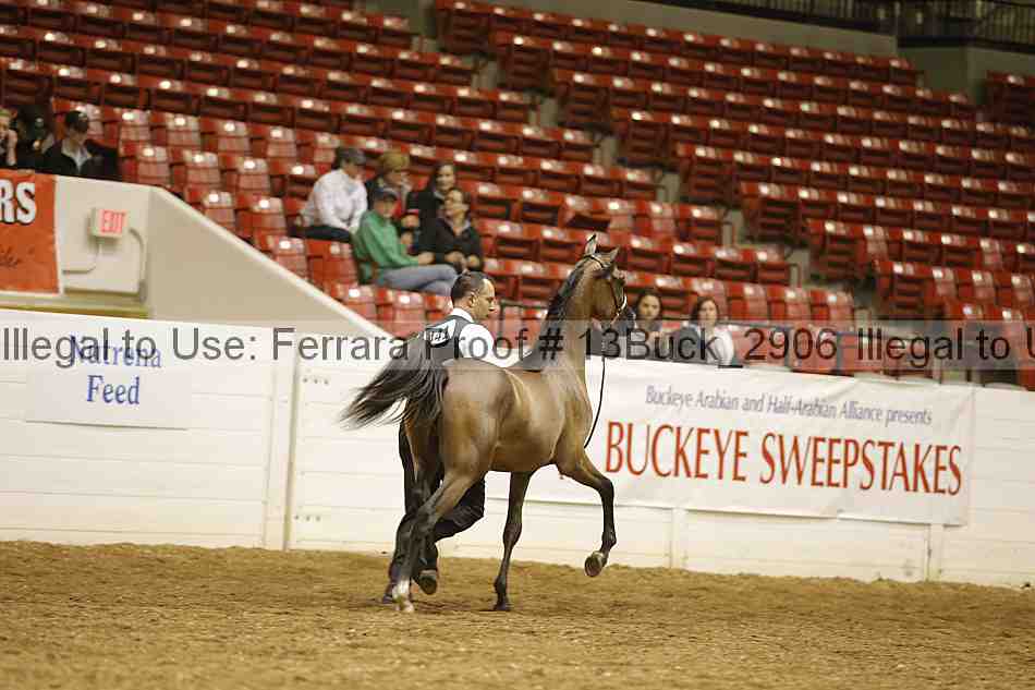 Proof 13buck_2906