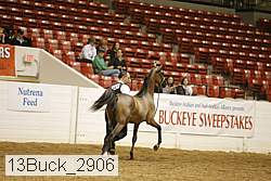 13buck_2906 proof