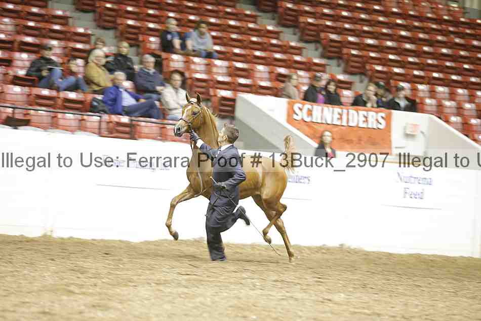 Proof 13buck_2907