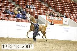 13buck_2907 proof