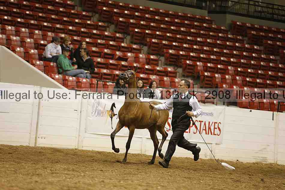Proof 13buck_2908