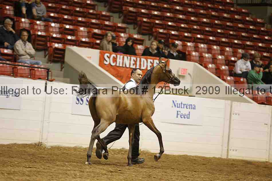Proof 13buck_2909