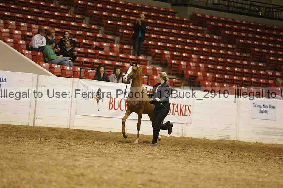 Proof 13buck_2910