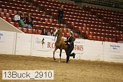13buck_2910 proof