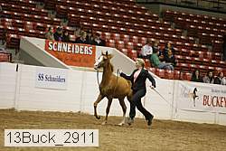 13buck_2911 proof