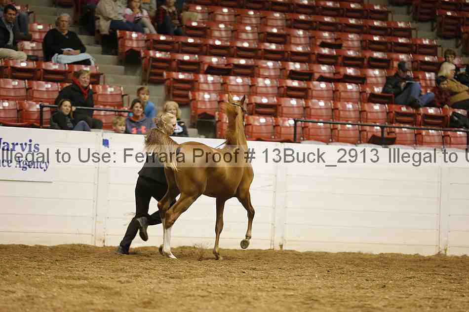 Proof 13buck_2913