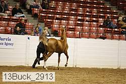 13buck_2913 proof