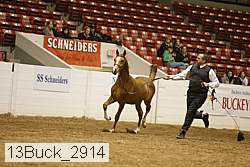 13buck_2914 proof