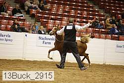 13buck_2915 proof