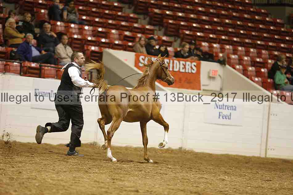 Proof 13buck_2917
