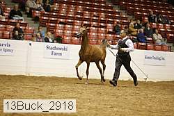 13buck_2918 proof