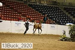 13buck_2920 proof