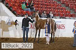 13buck_2922 proof