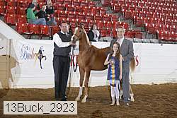 13buck_2923 proof