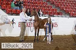 13buck_2925 proof