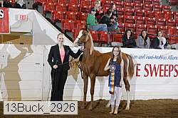 13buck_2926 proof