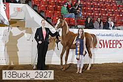 13buck_2927 proof