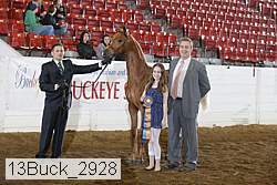 13buck_2928 proof