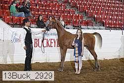 13buck_2929 proof