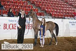 13buck_2930 proof