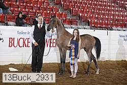 13buck_2931 proof
