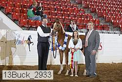 13buck_2933 proof