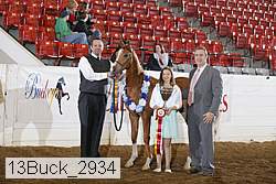 13buck_2934 proof