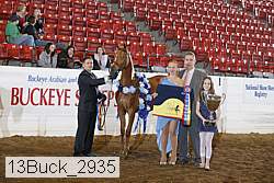 13buck_2935 proof