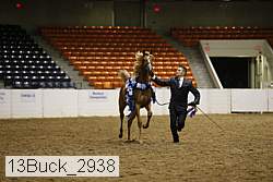 13buck_2938 proof