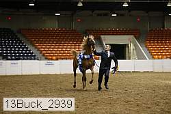 13buck_2939 proof