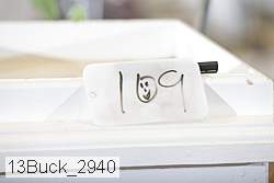 13buck_2940 proof