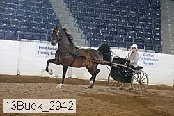 13buck_2942 proof