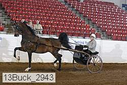 13buck_2943 proof