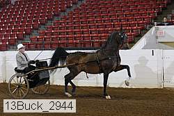 13buck_2944 proof
