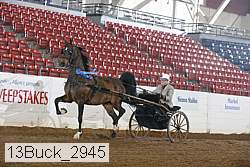 13buck_2945 proof