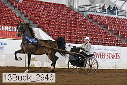 13buck_2946 proof