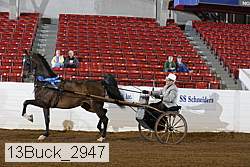 13buck_2947 proof