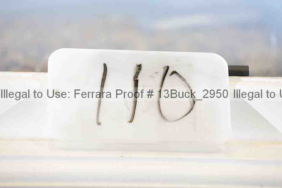 Proof 13buck_2950
