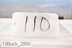 13buck_2950 proof