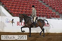 13buck_2951 proof
