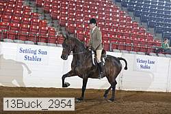13buck_2954 proof