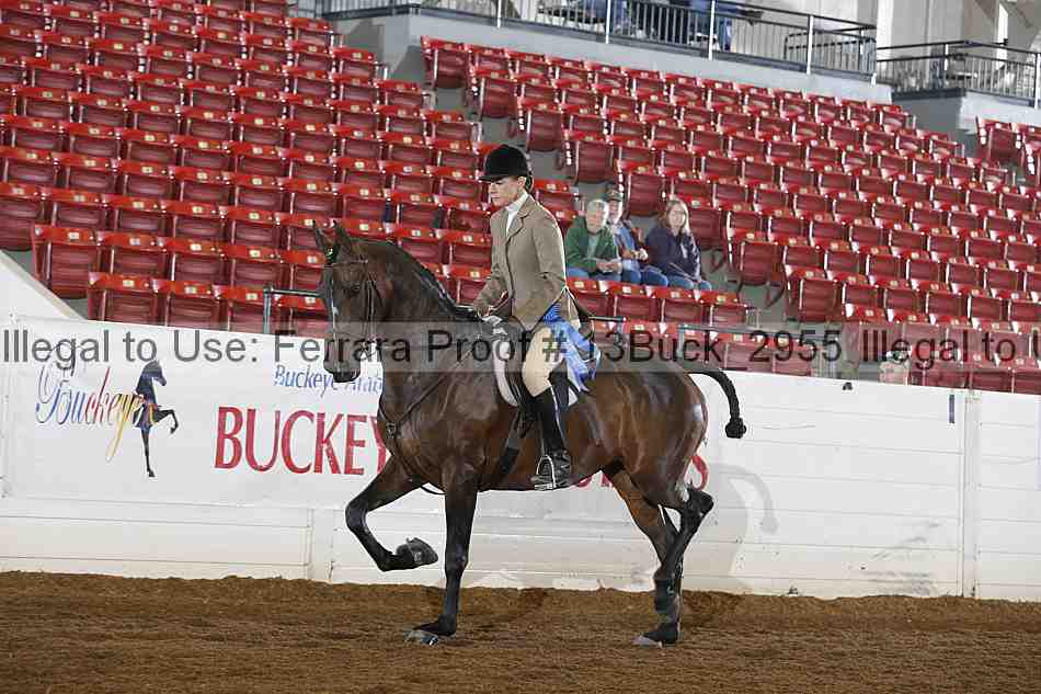 Proof 13buck_2955