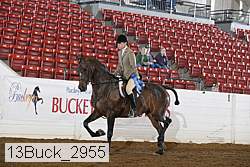 13buck_2955 proof