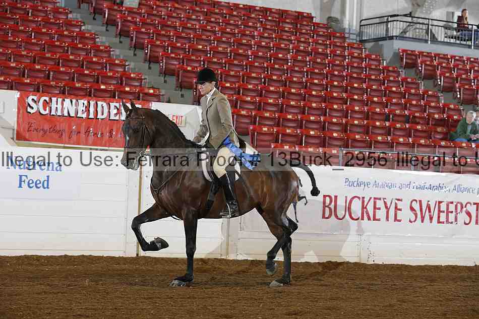 Proof 13buck_2956