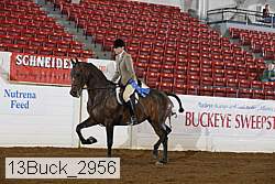 13buck_2956 proof