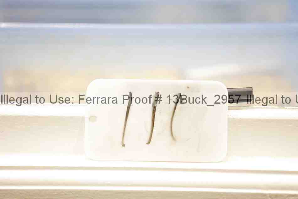 Proof 13buck_2957