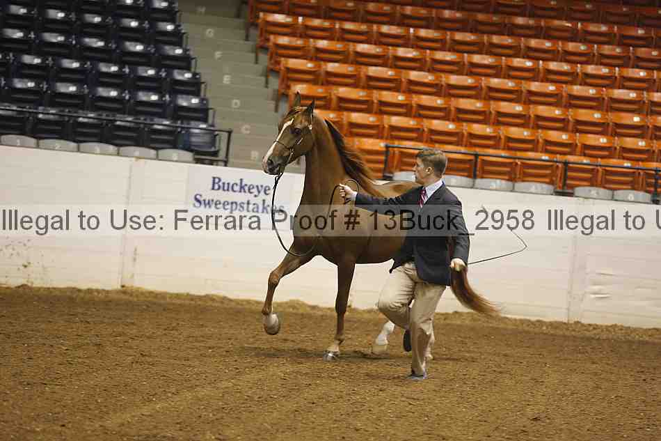 Proof 13buck_2958
