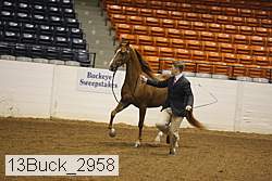13buck_2958 proof