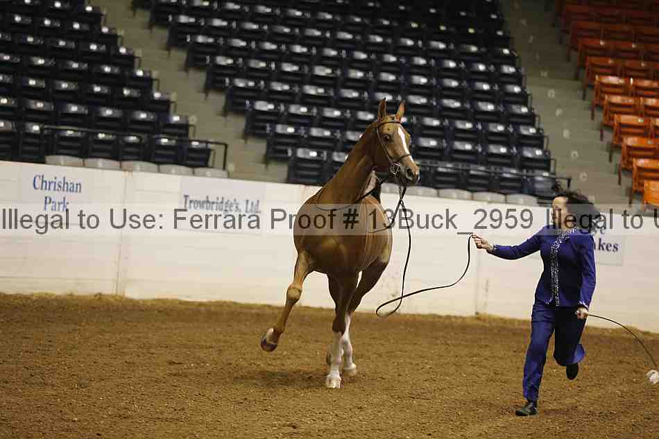 Proof 13buck_2959