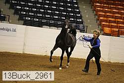 13buck_2961 proof